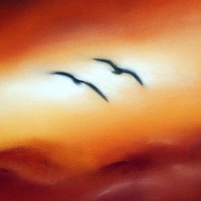 Von der Faszination zum Bild