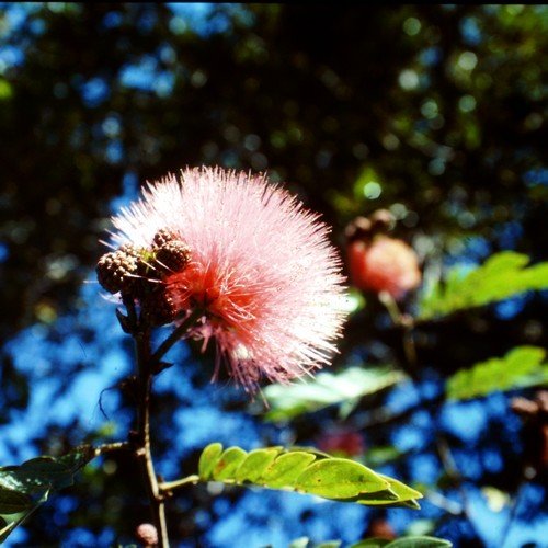 Der 1. April, der beste Tag für Visionen